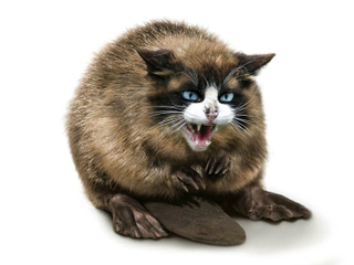 Illustration for article titled Common Animals Morphed Into Terrifying New Species